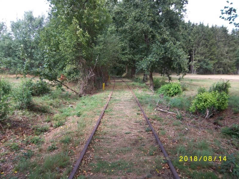 ZWNEGI43